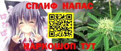 стаф Краснодар