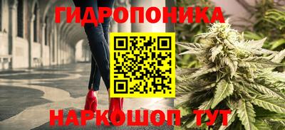 стаф Краснодар