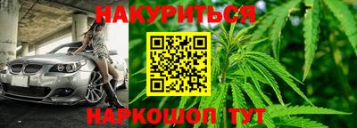 стаф Краснодар