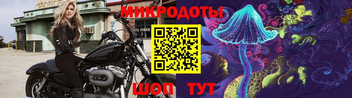 Псилоцибиновые грибы мухоморы Кинель